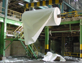 رنگین تک برگ 