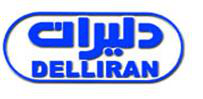 نمایندگی شرکت دلیران