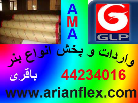 ارین ماندگار اسیا