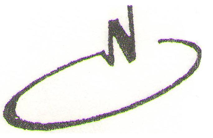 شرکت نگین گستر جاده ها