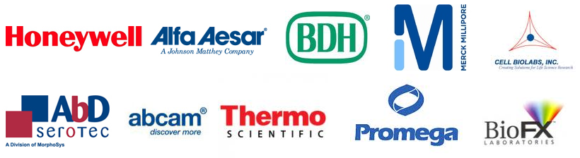 دنیا تجهیز ایرانیان 